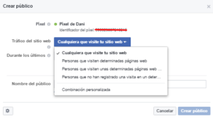 configurar publico personalizado pixel facebook